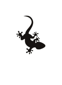 pochoir-tatouage-éphémère-salamandre-sal16